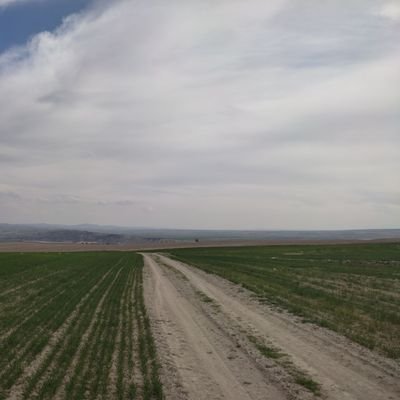 Yargic_Zeynel's profile picture. halktan bir vatandaş .hekim işte.çocukçu.Her retweet öyle düşündük demek değildir.