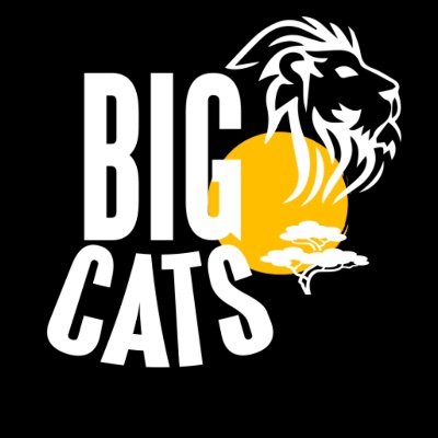 BigCats est une association qui oeuvre pour la protection et la défense des Grands Félins, grâce au 1er sanctuaire français fermé au public pour lions, tigres.