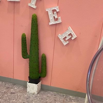 xingni253588's profile picture. 