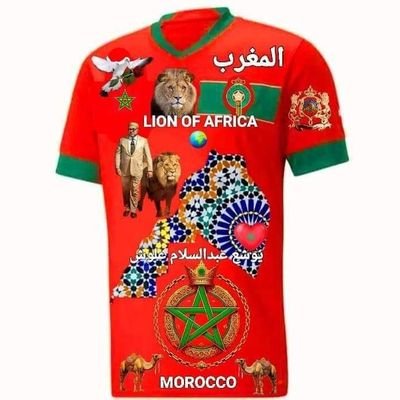 الاسد المغرب 🇲🇦