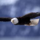 Barbara Bode - @twins50BB - Twitter