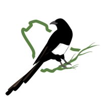 جمعية حماية الطيور (@bps_org_sa) 's Twitter Profile