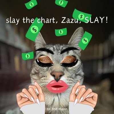 AngeloM08596595's profile picture. 