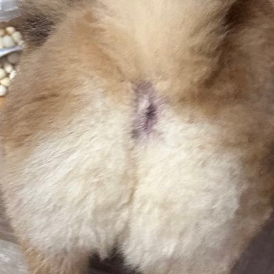 06hokkun's profile picture. 
