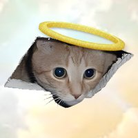 Ceiling Cat(@Ceilingsolcat) 's Twitter Profile Photo