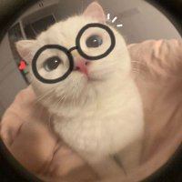 bigwinnn39 (@pisceszea) 's Twitter Profile