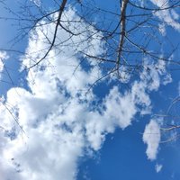 onism (@ekdoteenchaaar) 's Twitter Profile