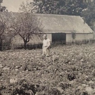 matzeglatzer's profile picture. Born to ₿ Free  #BTC just and only
....I kenn die Leit', I kenn di Ratten....