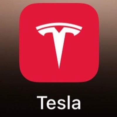 Tesla Agent📄