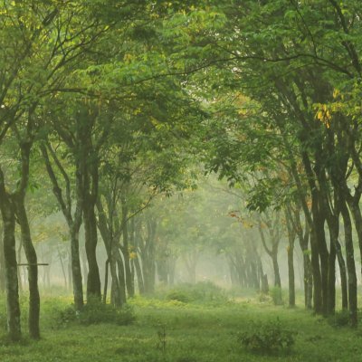 fjs4LlhFpPESmjC's profile picture. 