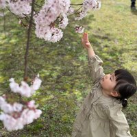 でーら (@shimo0615) 's Twitter Profile