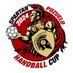 IV Spartan Pozuelo Handball Cup (@SpartanHCup) Twitter profile photo
