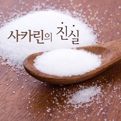 댕냥이의 습격