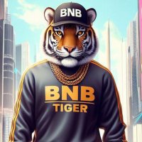 BNBTIGER 🐯(@BNBTIGERlNU) 's Twitter Profile Photo