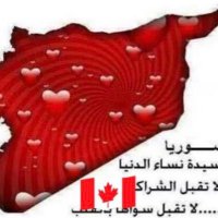 2 Dr Nagham AlHafez د: نغم الحافظ (@ali24846) Twitter profile photo