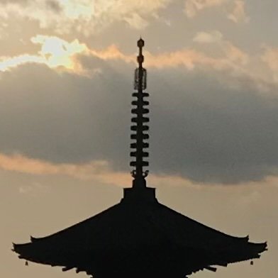 ysnp104's profile picture. ゆたんぽそんぽ、ゆたそんぽ