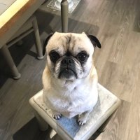 jerry phillipps (@jerryphillipps) 's Twitter Profile