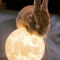 蒼彗星 (@bluecomet1968) 's Twitter Profile