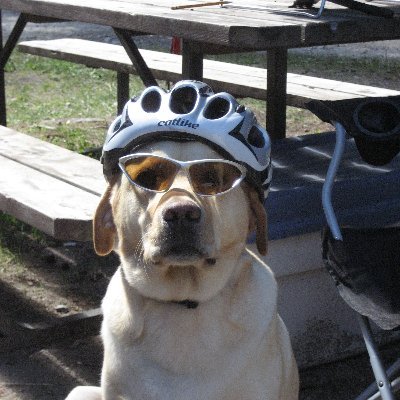 Retired, Volunteer, Environmentalist, Urbanist, bike rider, bike advocate, bike fixer, bike educator, founding MEM @bikeweekwpg @BikeWinnipeg, Spin instructor