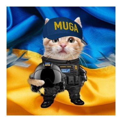 Irish Canadian 🇨🇦🇮🇪. 🇺🇦. BE BRAVE LIKE UKRAINE #NAFOCatsDivision. donate: https://t.co/yiDulXe683 Member of NAFO Old Curmudgeons, 1st Slow-Response Brigade