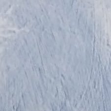 utnEBExshqaruxW's profile picture. 