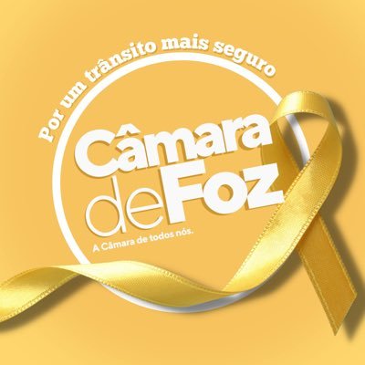 Twitter oficial da Câmara Municipal de Foz do Iguaçu (CMFI)