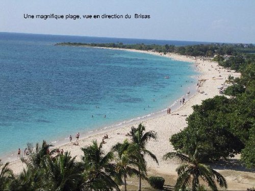 the_heat_is_on_'s profile picture. 