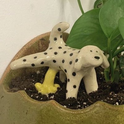 maeruserious's profile picture. jungt 💗