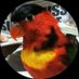 kazuya who (@kazuyawho47802) Twitter profile photo kazuya who (@kazuyawho47802) Twitter profile photo