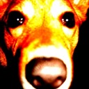 Audrey Stephenson - @Aud_Tree - Twitter