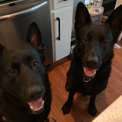 CatLeatherman's profile picture. I love God, my family and my country.  A big believer in justice . Pure blood. Trumper. Patriot. Animal lover. Impatiently waiting....Please, no DM's.