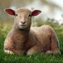 Jean McKane 🇺🇸 - @john_mckane - Twitter