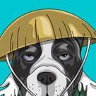 gabymedina5's profile picture. Trade strategist crafting success in the financial realm. Profits fueled by passion and precision.  #TradingStrategist #ProfitPassion