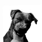 Doctor_mphoza's profile picture. Mphoza not the normal one. Ovi, Limitless millennial human!!!🗣🤘🏾😂
• Principle master @atelier_mphoza