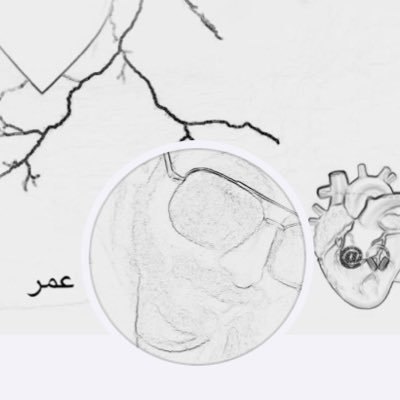 MrAlsmdany's profile picture. (عمر)…