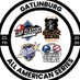 Gatlinburg All American Series (@GatlinburgBowl) Twitter profile photo
