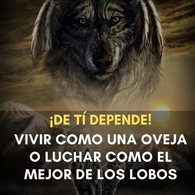 Manolopegazo's profile picture. 