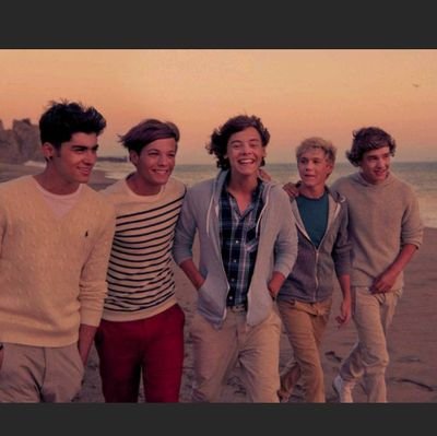 I Iove one direction their music is amazing just like them . I'm a huge fan of One Direction