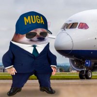 CEO of Fella Airlines🇺🇸🇺🇦(@FellaAirlines) 's Twitter Profile Photo