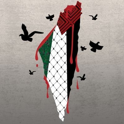 Free Palestine 🇵🇸🇵🇸