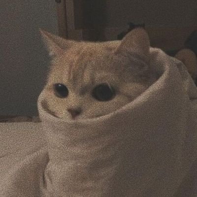 S3IN2DE's profile picture. Darling, you look perfect tonight