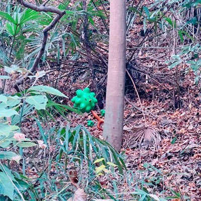 yyyy_library's profile picture. @nui_life_ykmmのサークル代わりの壁打ちアカウント🐈 商業びーえる読むのが生きがい❤️1次創作、2次創作、カプのはなしなどなど自由におはなしするよ🐈 とっくの昔に成人済み