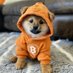 Bisheng (@bisheng3195) Twitter profile photo Bisheng (@bisheng3195) Twitter profile photo