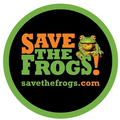 SAVE THE FROGS!さんのプロフィール画像