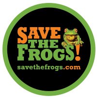 SAVE THE FROGS!(@savethefrogs) 's Twitter Profile Photo