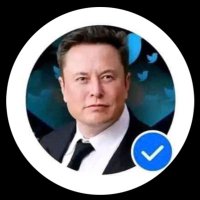 elonmusk(@mayemuskchat87) 's Twitter Profileg