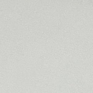 milesridden's profile picture. 