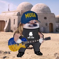 mlaczek fella 🇭🇺🇺🇦 (@mlaczek77) 's Twitter Profile