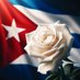 Andrea de Cuba 🇨🇺 (@AndreadeCu36714) Twitter profile photo