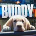 Buddy (@MetsVetDog) Twitter profile photo